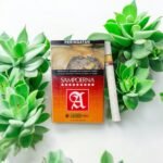 Seven Stars บุหรี่คุณภาพจากอินโดนีเซีย