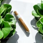 Swisher Sweets Silver Perfecto 5×41