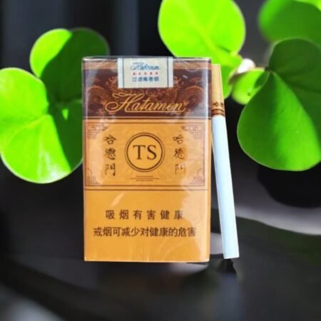 TS บุหรี่ร้อน