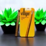 Villiger Premium No6 Honey Tip - คุณภาพระดับพรีเมี่ยม 🍯