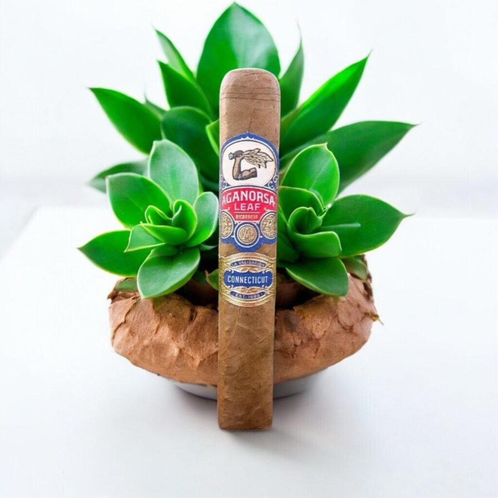 Alec Bradley White Gold Toro สัมผัสความหอมหวานในขนาด 6 นิ้ว x 50