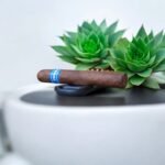 Cohiba ประสบการณ์การสูบที่หรูหราและน่าหลงใหล