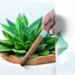 Cuban Vanilla Flavored สัมผัสรสชาติหวานหอมในทุกคำสูบ