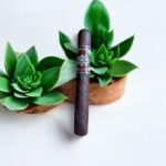 ซิการ์ Don Chuchu Toro