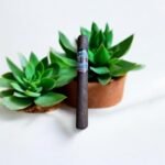 Don Lugo Toro ประสบการณ์การสูบที่กลมกล่อมและนุ่มนวล