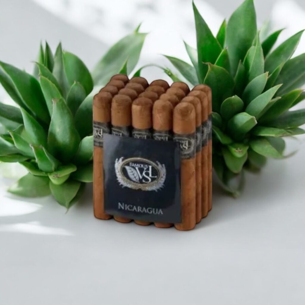 Famous VSL Nicaragua Robusto ประสบการณ์การสูบที่เข้มข้น