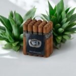 Famous VSL Nicaragua Robusto ประสบการณ์การสูบที่เข้มข้น