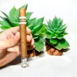 Guantanamera Cristale ประสบการณ์สูบที่หรูหราและนุ่มนวล