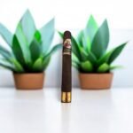 La Gloria Cubana Society Cigar II