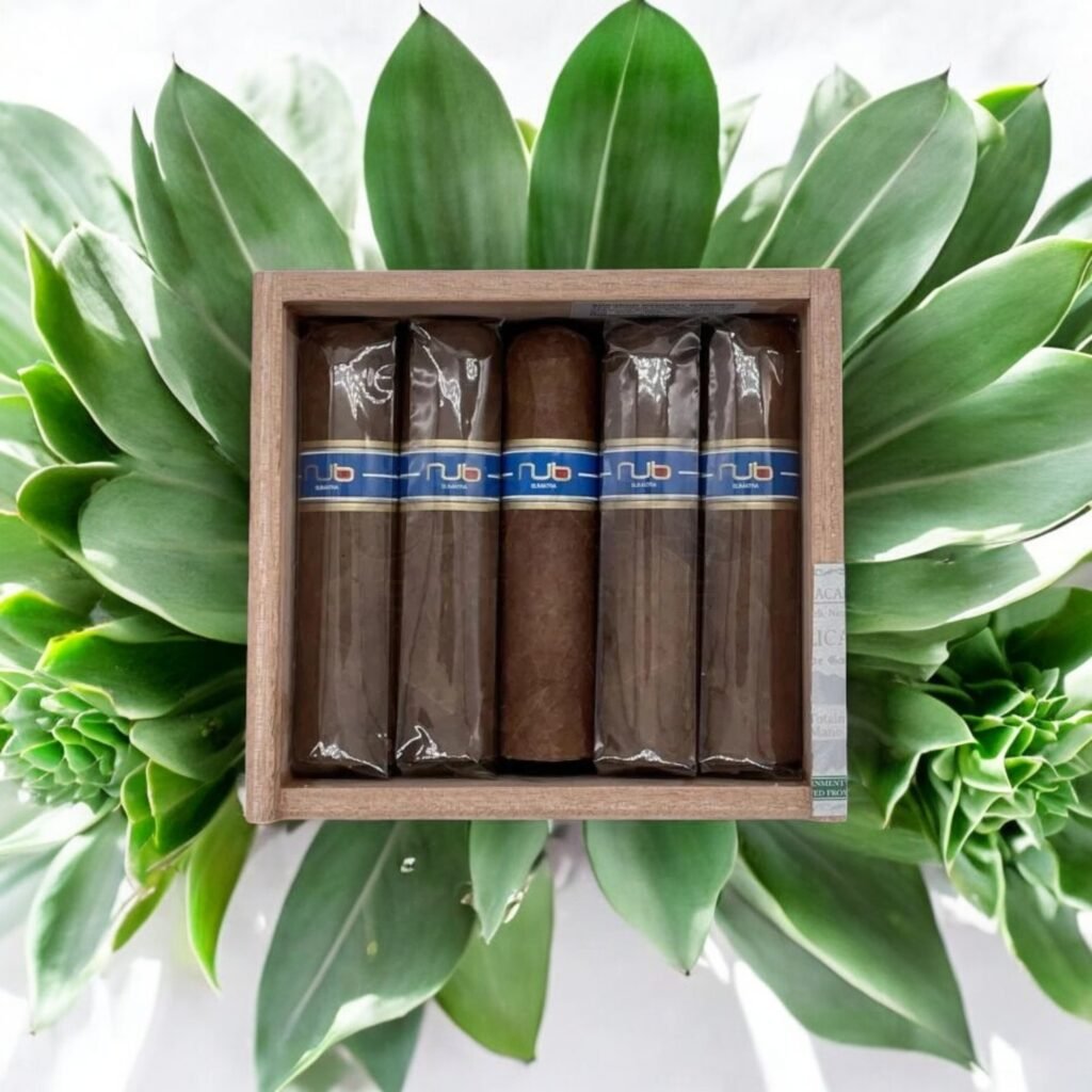 Nub by Oliva ประสบการณ์การสูบที่เต็มไปด้วยรสชาติ