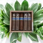 Nub by Oliva ประสบการณ์การสูบที่เต็มไปด้วยรสชาติ