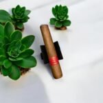 Partagas Serie D No. 4 ประสบการณ์การสูบที่หรูหราและเข้มข้น