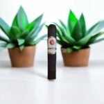 Rocky Patel Sun Grown Maduro