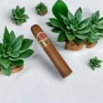 Romeo y Julieta Wide Churchills ประสบการณ์การสูบที่น่าหลงใหล