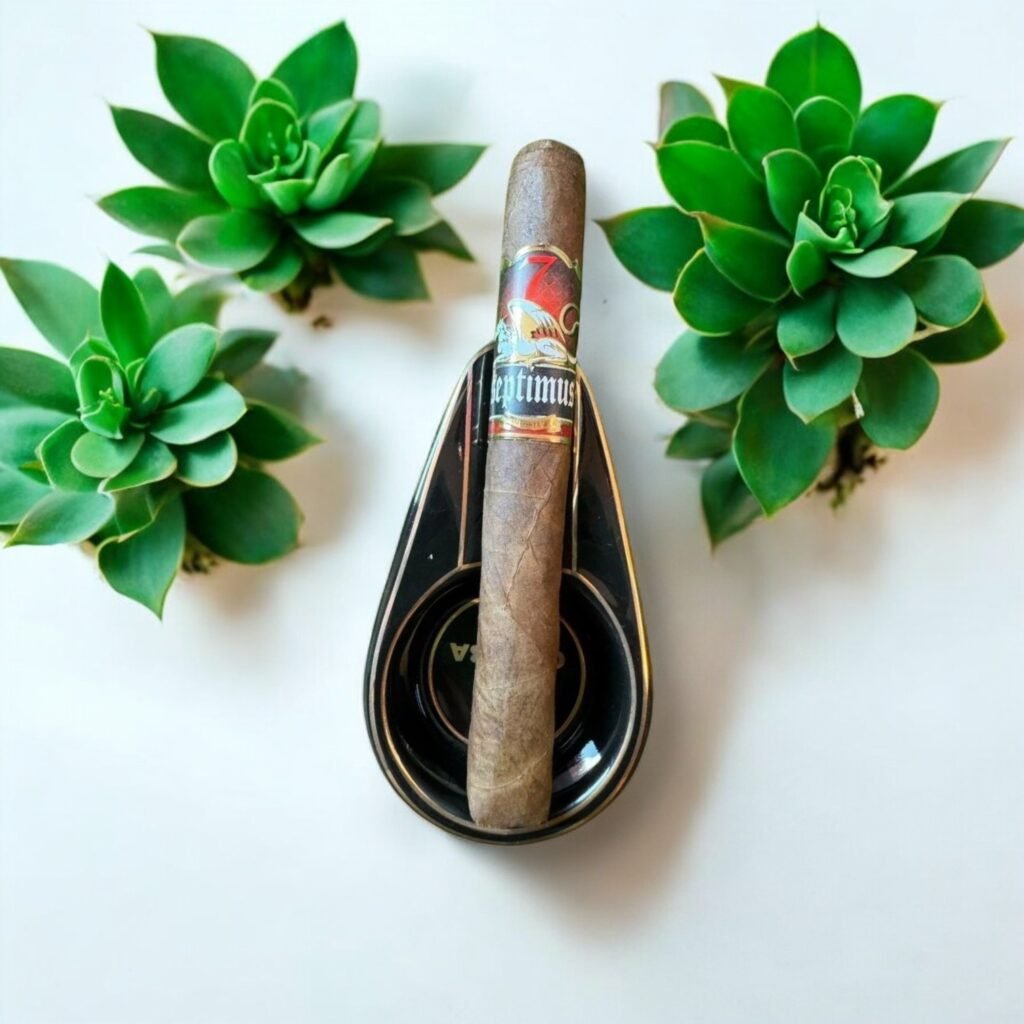 Septimus Toro Corojo ประสบการณ์การสูบที่เข้มข้น