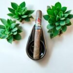 Septimus Toro Corojo ประสบการณ์การสูบที่เข้มข้น