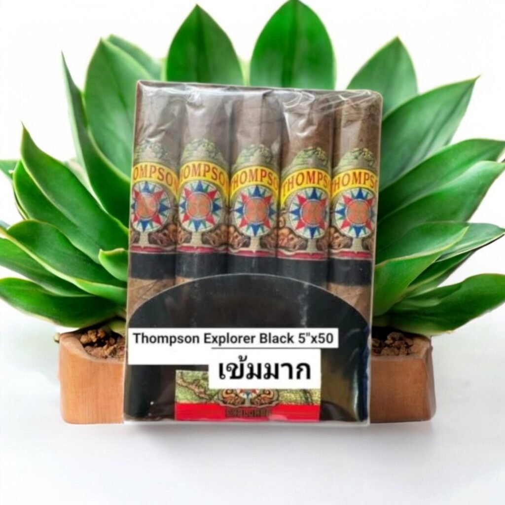 Thompson Explorer Black ประสบการณ์การสูบที่น่าหลงใหล