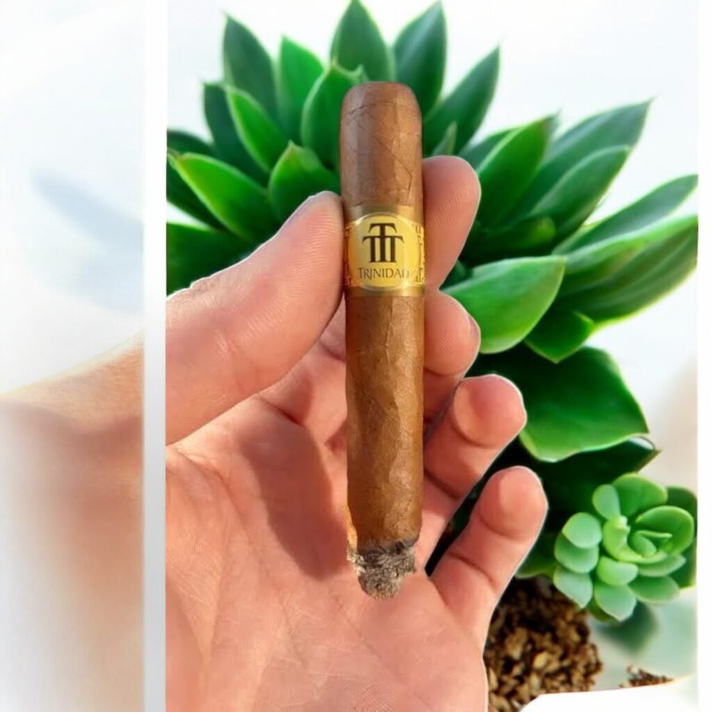 ซิการ์ Trinidad Shorts