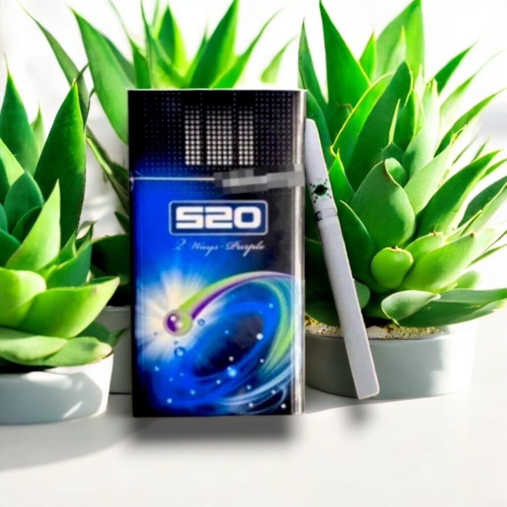 520 รสเบอร์รี่ 🫐🥶