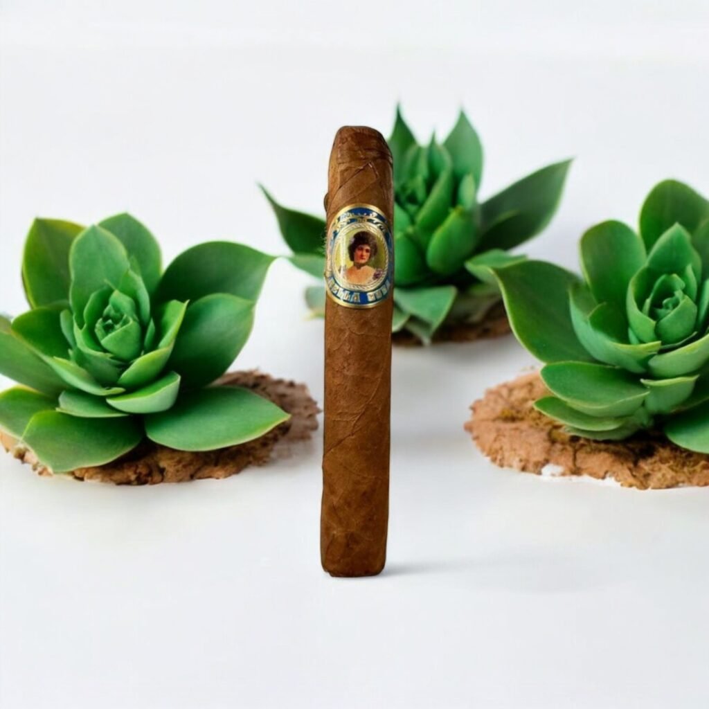 บุหรี่ Bella Cuba