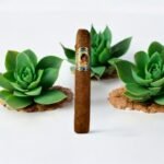 บุหรี่ Bella Cuba