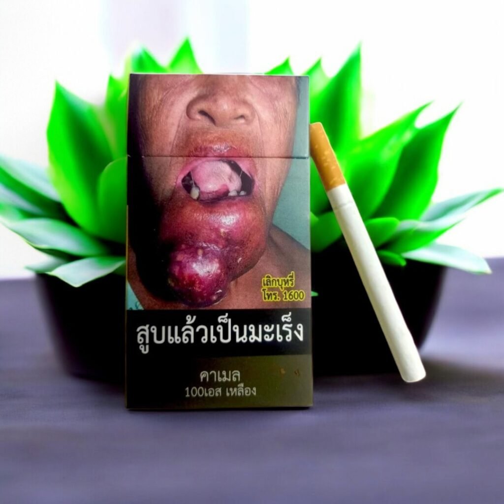 Camel สัมผัสรสชาติที่ร้อนแรงในทุกคำสูบ