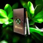 Menara รสชาติหวานเข้มจากบ๊วยกานพลู 🍯🌰