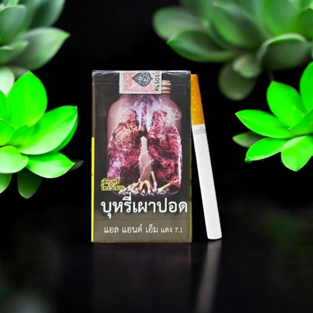 SMS – สัมผัสความร้อนที่พรีเมี่ยม! 🥵