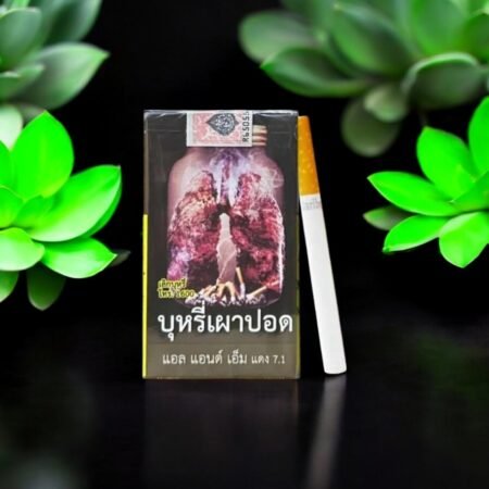 SMS – สัมผัสความร้อนที่พรีเมี่ยม! 🥵