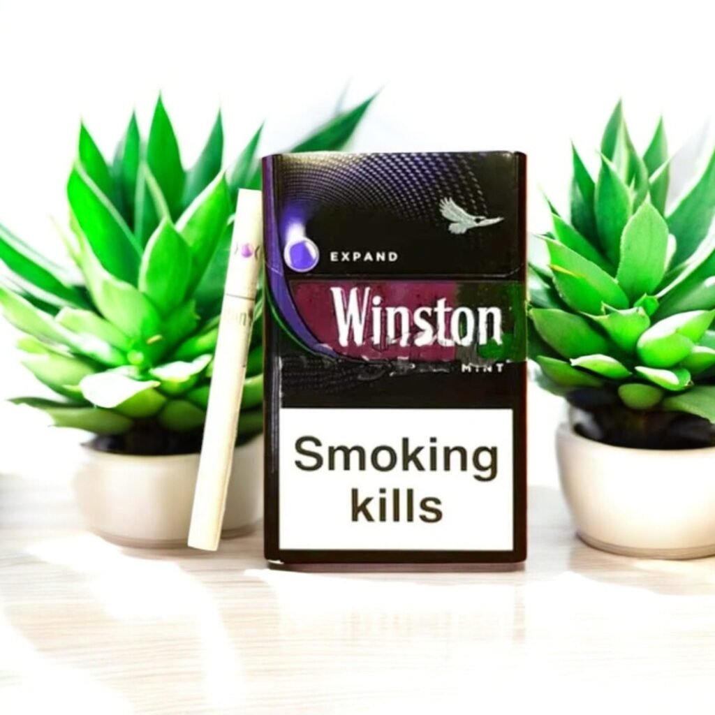 Winston Grape Mint (ซองแข็ง) 🥶🍇💧