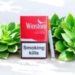 Winston ร้อน🥵 ไม่แสบคอ