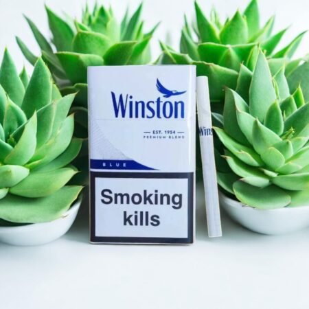 Winston ไลท์🤧 ไม่มีเม็ดบีบ