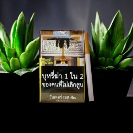 Wonder S Green – สัมผัสความเย็นที่ลงตัว! 🥶