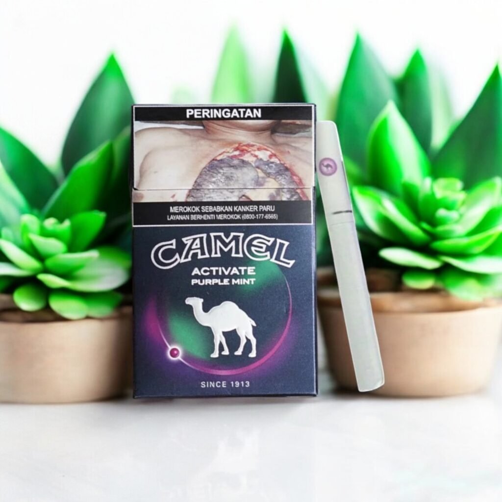 Camel สัมผัสความสดชื่นในทุกคำสูบ! 🥙💧