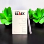 Djarum – สัมผัสความหอมที่พรีเมี่ยม! 🌰🍯