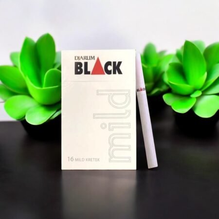 Djarum – สัมผัสความหอมที่พรีเมี่ยม! 🌰🍯