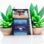 Camel สัมผัสความเข้มข้นในทุกคำสูบ! 🥵🔥