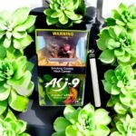 สายหวานรสผลไม้ ประสบการณ์ใหม่ที่คุณต้องลอง