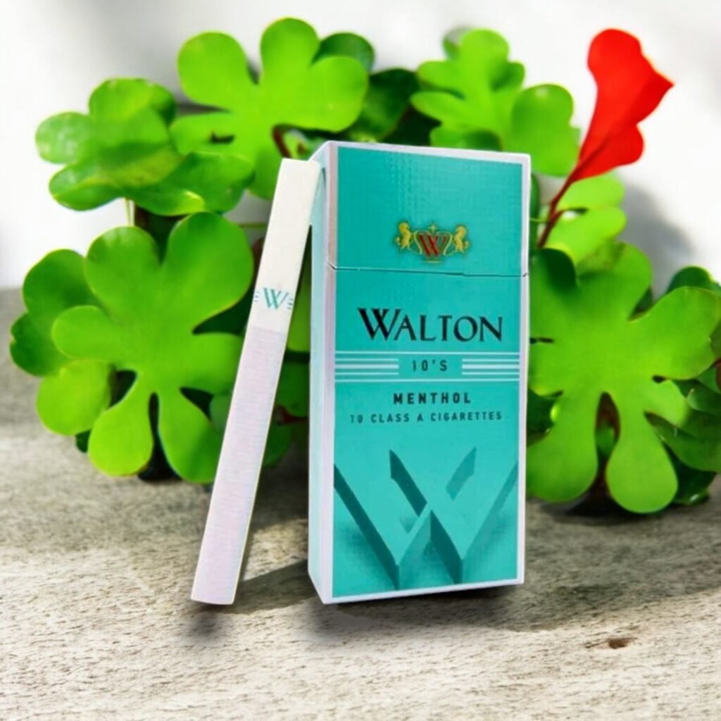 Walton จากฮอลแลนด์ 🇳🇱