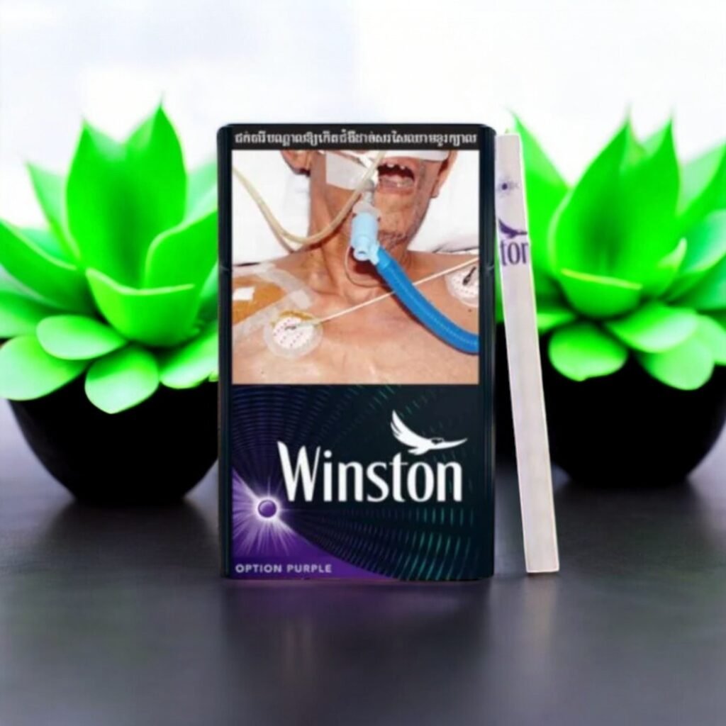 Winston - สัมผัสความหอมสดชื่นในทุกคำสูบ! ❄️🍇