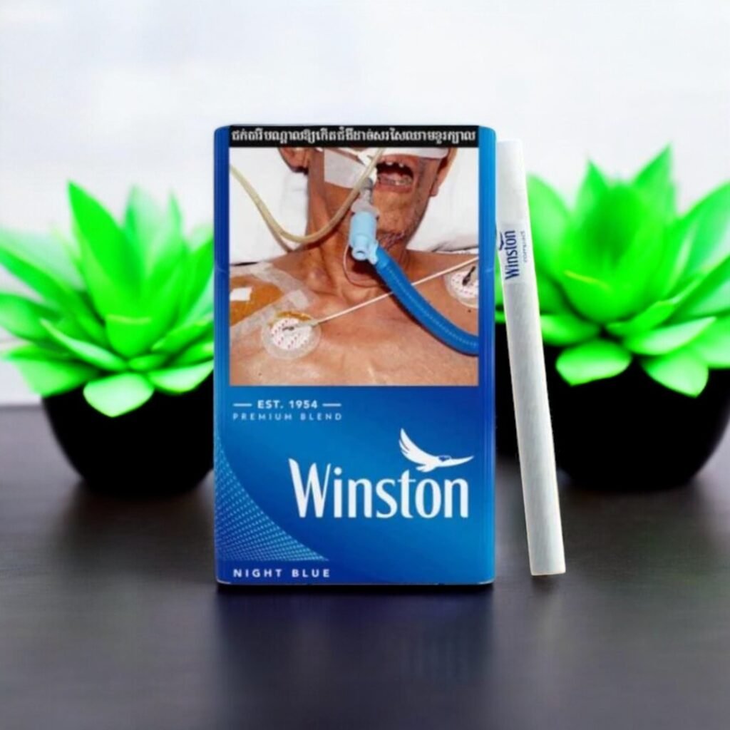 Winston - สัมผัสความนุ่มนวลในทุกคำสูบ! 🌬️