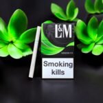 รีวิว L&M 🌟