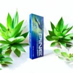 รีวิว Pine Apple Mint 🌬️🍏