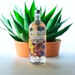 จะหาซื้อ Absolut Hibiskus ได้จากที่ไหน?