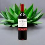 Cono Sur Tocornal Cabernet Sauvignon 2019 สามารถนำไปทำค็อกเทลได้หรือไม่?