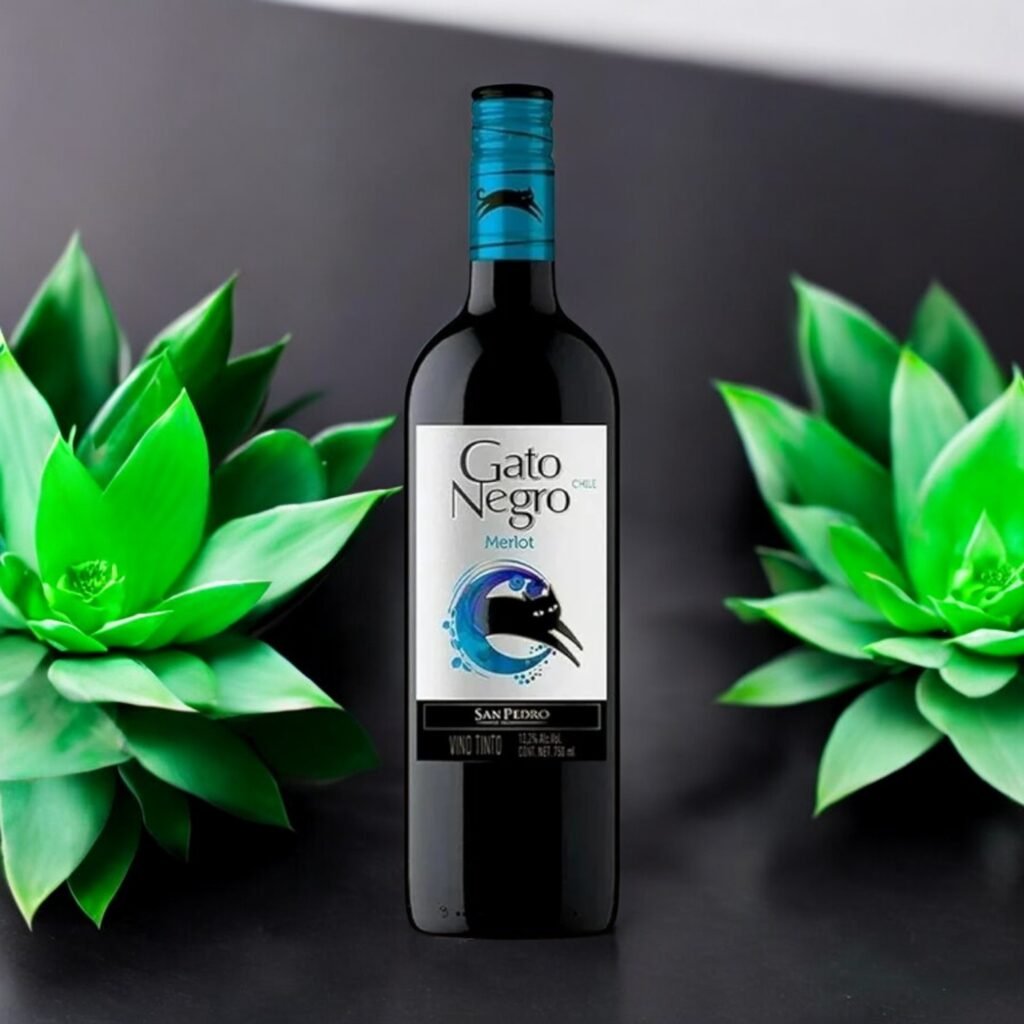 Gato Negro Merlot สามารถหาซื้อได้ที่ไหนบ้าง?