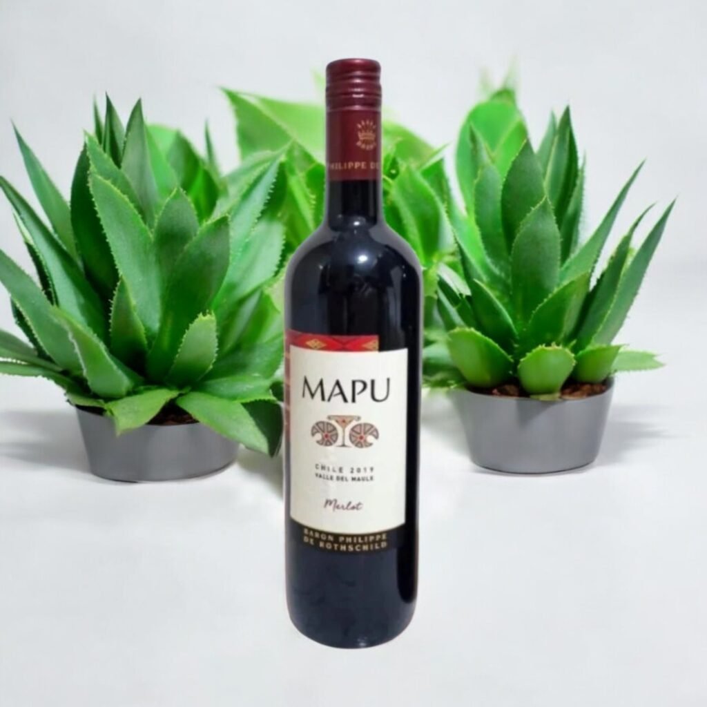 การจัดเก็บ MAPU Merlot 2015 ในห้องไวน์ควรทำอย่างไร?