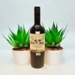 มีคำแนะนำในการเลือกไวน์แดงที่เหมาะสมสำหรับ Montes Twins Red Blend 2016 หรือไม่?