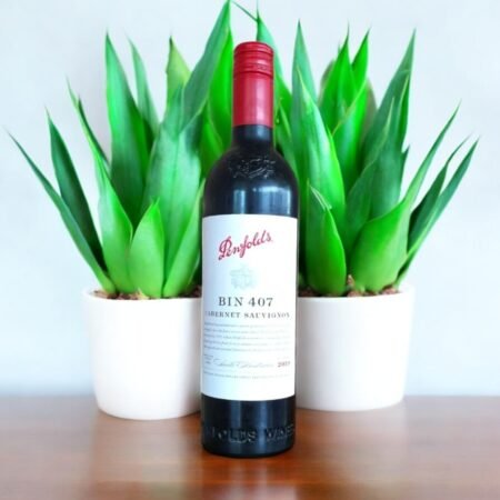 Penfolds Bin 407 Cabernet Sauvignon 2019 มีรสชาติที่เหมาะกับผู้ที่ไม่ชอบไวน์แดงหรือไม่?