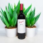 การทำไวน์ Penfolds Bin 8 มีขั้นตอนอย่างไร?